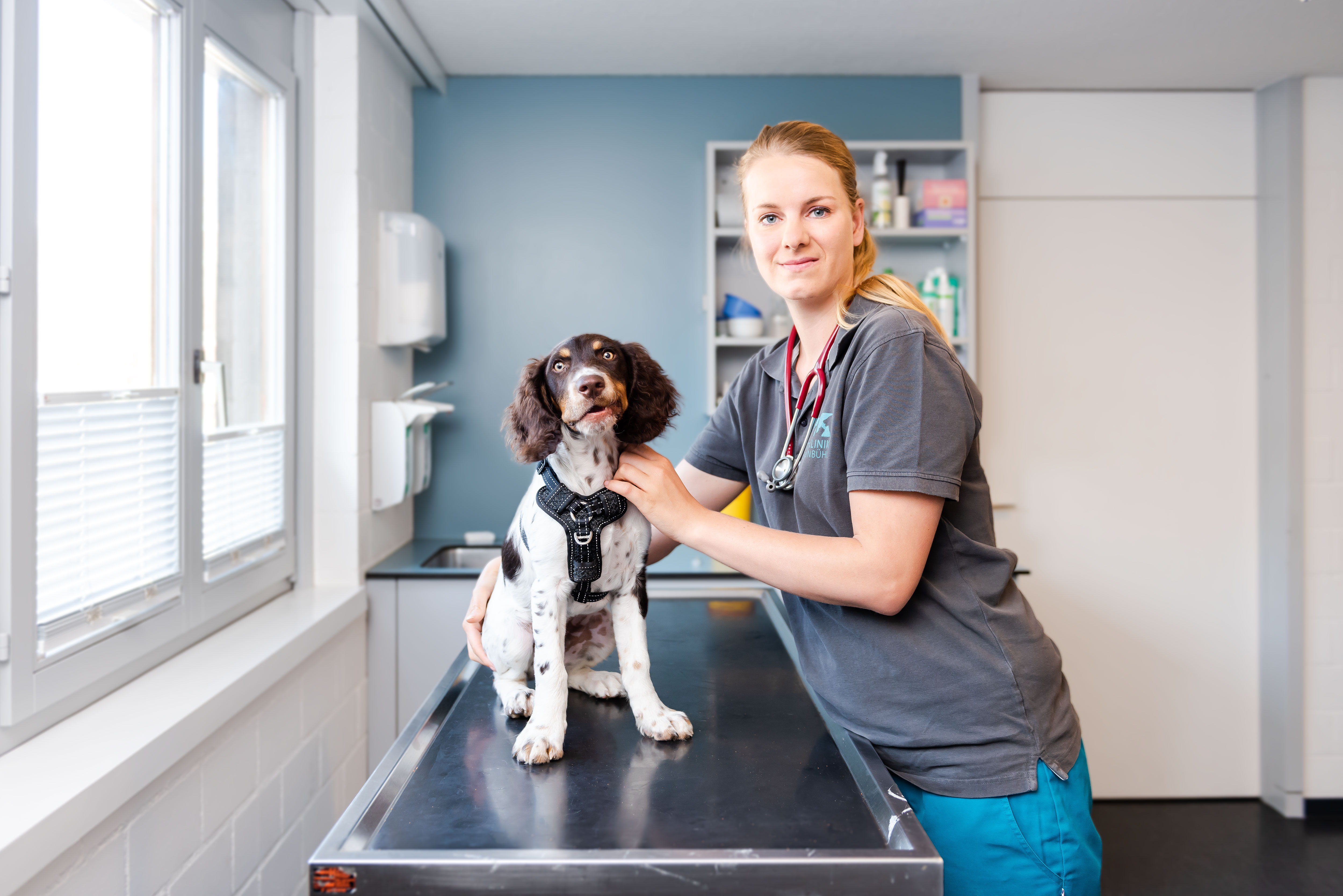 Home - Tierklinik Schönbühl